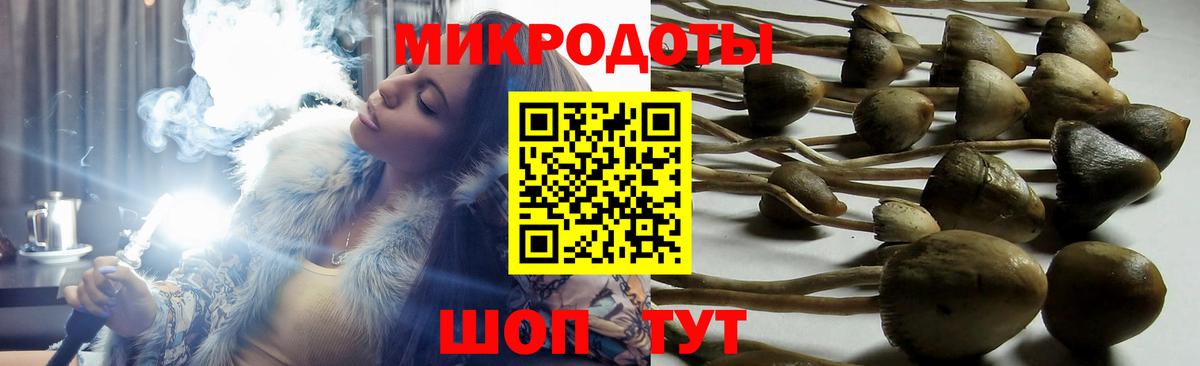 Галлюциногенные грибы Psilocybine cubensis  Вход с VPN  Галлюциногенные грибы Psilocybine cubensis  Губкинский 